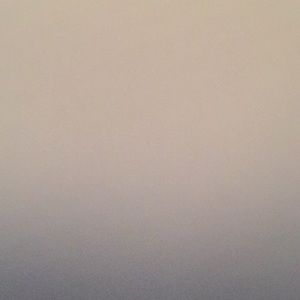 Meet your Posher, India